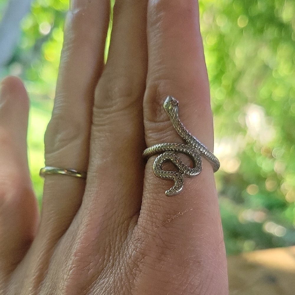Elegant Silver Snake Ring for Reptile Enthusiasts